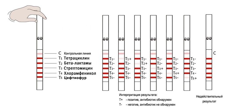 Тесты на антибиотики в молоке
